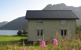 Charming House By The Sea, Lofoten!