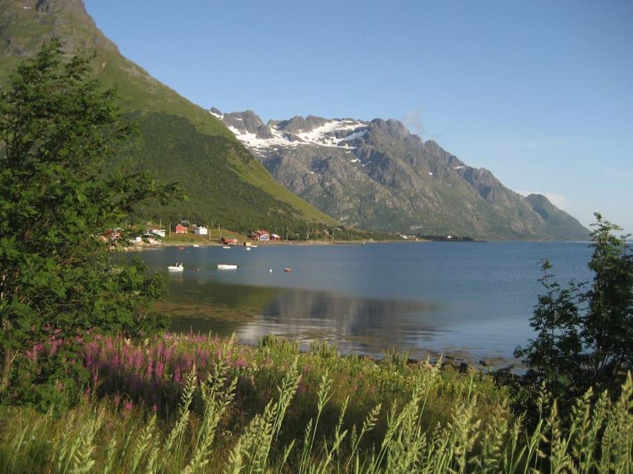 Charming House By The Sea, Lofoten! Laupstad Exterior foto